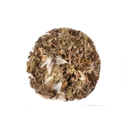 Cardo Santo Folha 100g