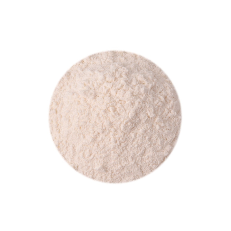 Leite de Coco em Pó 100g