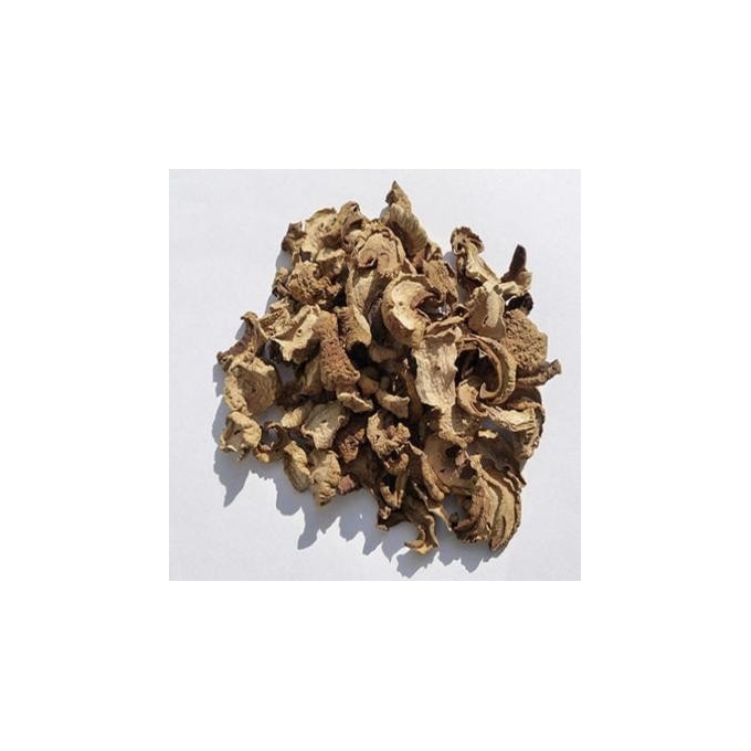 Cogumelo do Sol 100g