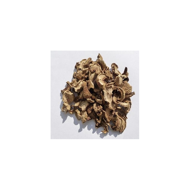 Cogumelo do Sol 100g