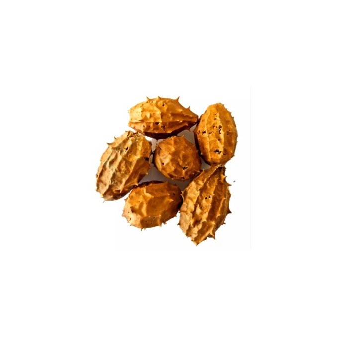 BUCHINHA DO NORTE 2 UNIDADES