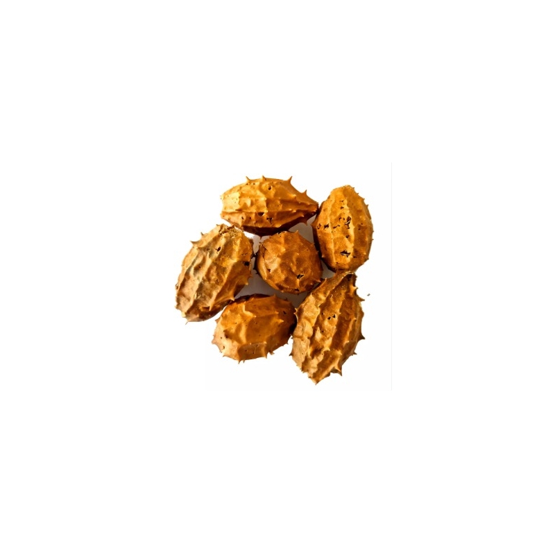 BUCHINHA DO NORTE 2 UNIDADES