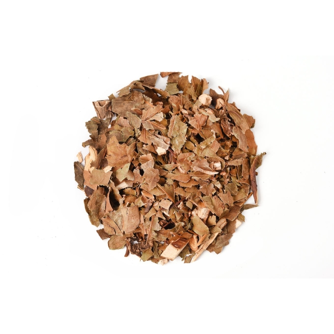 Abacateiro 100g